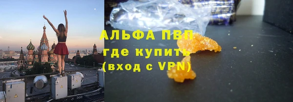 стаф Осинники