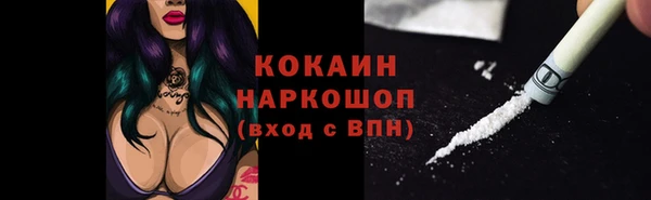 стаф Осинники