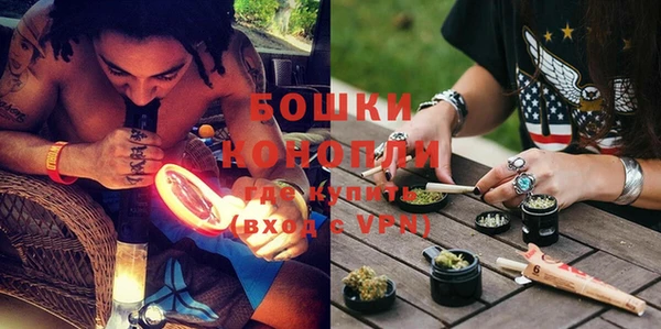 стаф Осинники