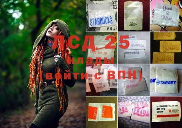 стаф Осинники
