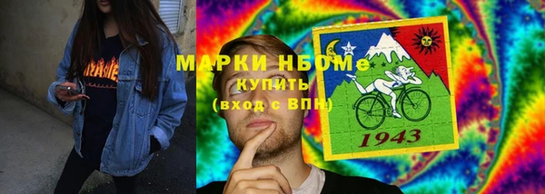 стаф Осинники