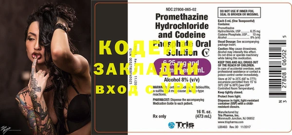стаф Осинники