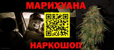 гидра Гатчина