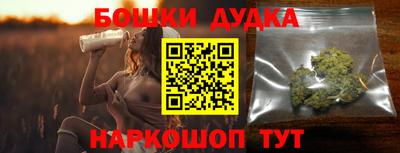 гидра Гатчина