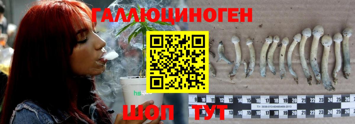 Галлюциногенные грибы MAGIC MUSHROOMS Дербент