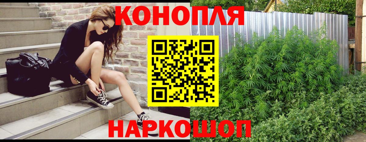 Каннабис MAZAR Дербент